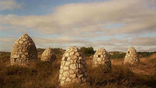 Conoce Cillar de Silos, vinos premium en Ribera del Duero