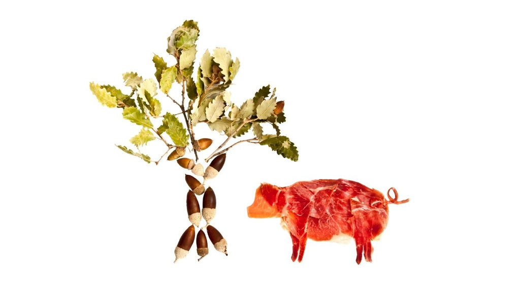 ¿Cuál jamón es el más sano? ¿Qué significa ibérico?