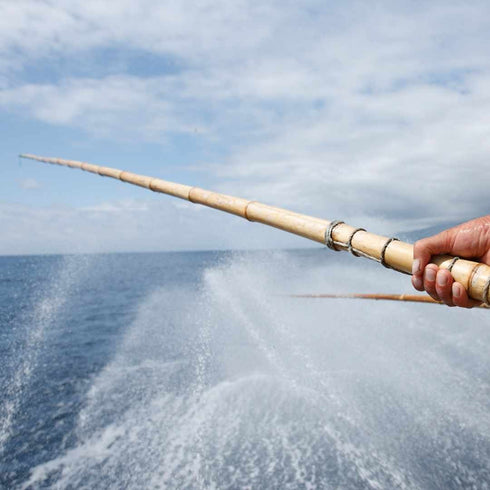 Azorean Tuna in spring water 120g